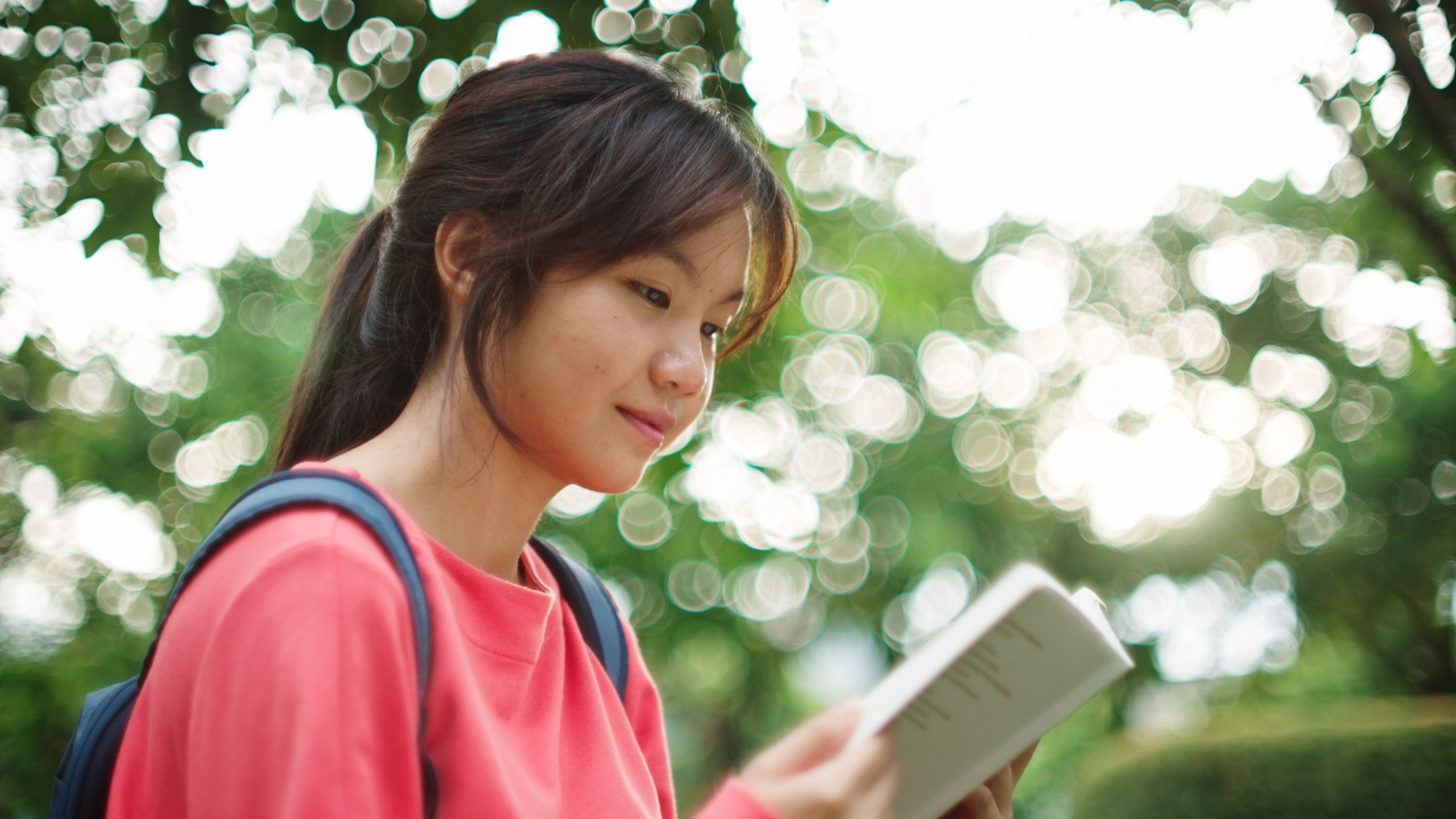 The Power of the Pause: Why Summer Is the Ideal Time for Academic Reflection
