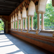 ivy league schools