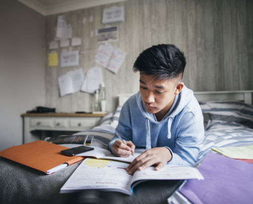 studying at home in the current COVID-19 environment
